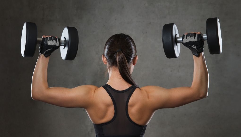 Building back muscle with weights